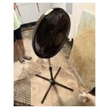 Fan