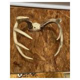 Antler Mount