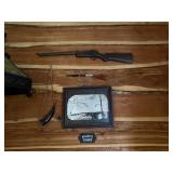 Wall Display of Guns, Powder Horn & Print
