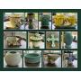 FANTASTIC OFFERING OF MCCOY POTTERY & MORE!