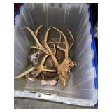 Tote & Deer Antlers