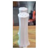 Porcelain Salt / Pepper Shaker Set