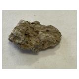 Texas Holey Rock Specimen