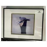 Framed Cormorant Bird Portrait