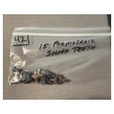15 Prehistoric Shark Teeth