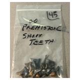 20 Prehistoric Shark Teeth