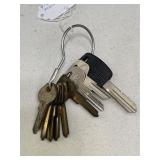 9 Uncut Vehicle Keys