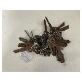 43 Flat Padlock Keys