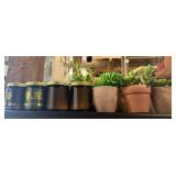 4 Adulting Candles & 4 Succulent Artificial Plants