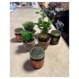 3 Adulting Candles & 4 Succulent Artificial Plants