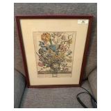 Framed Robert Furber "March" Botanical Print