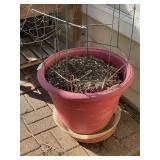 Three Flower Pots