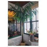 Decorative Faux Plants