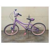 2 Cool Girls Bicycle