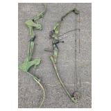 Compound and Recurve Bows