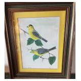 Wilson Warbler Painting