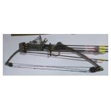 Compound Bow and Arrows