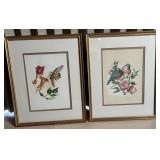 2 Framed Bird Prints