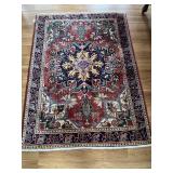 Hand Knotted Persian Style Wool Area Rug