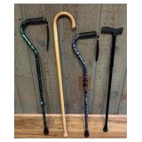 4- Canes