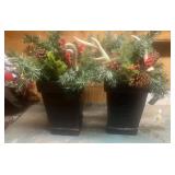 2- Xmas Plants Dï¿½cor