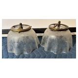 Late 19th Century Glass Lamp Shades