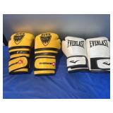 Boxing & Kickboxing Gloves