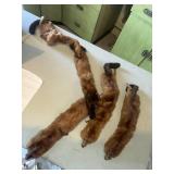 Box with furs and pictures