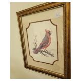 Artwork:  Signed print - Cardinal - Nellie Meadows