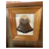 Framed tail feathers