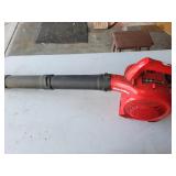Gas Blower