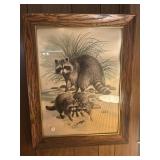 raccoon picture- 23x18 and Fox picture- 23x18