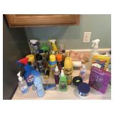 Box of miscellaneous cleaning supplies