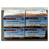 .300 Blackout 144 Gr AM FMJ Ammo