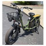 Fiido T1 Cargo Electric Bicycle - NEW