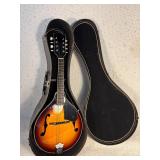 8 String Mandolin Unbranded