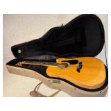 Alvarez Accustic and Electric Masterworks Nat