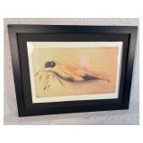 C.Tremuyre catchin 23 x 31 art 40/450