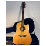 Washburn 12 String Accustic & Electric D46SCE12