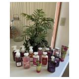 Soaps, lotions, and faux plant Soaps, lotions, and faux plant