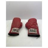 Everlast Boxing Gloves