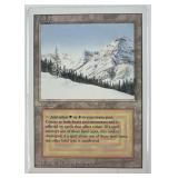 Taiga - Revised Edition Magic: The Gathering card