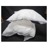 Siluvia Pillow 22x22