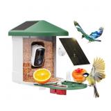 HARYMOR Bird Feeder w Cam AI Solar 2K HD Green
