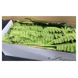 Forest Prince Greenery Garland 50 L