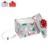 HoHoHoH2o Festive Auto Tree Watering System 2.5 ga