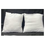 White Square Pillow Inserts 2pk