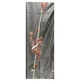 Bloodgood Japanese Maple
