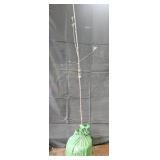 Honey Crisp Apple Tree