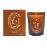 Diptyque Scented Candle, 10.2 oz., Ambre